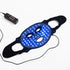 LED Light Face Mask